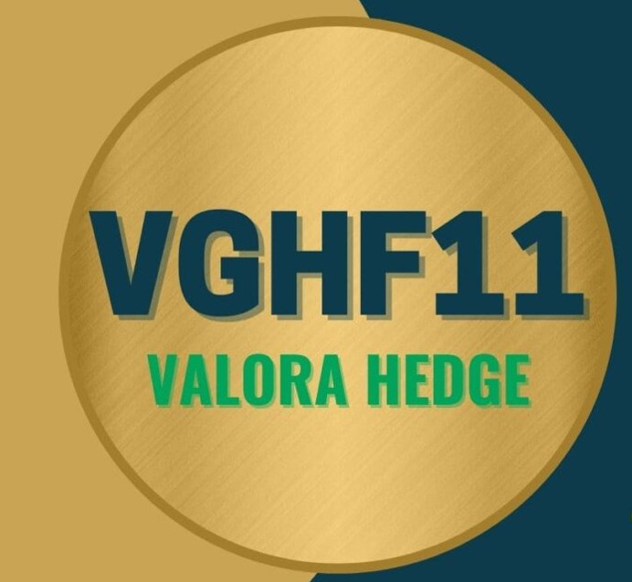 valora-hedge-fund-fi-imobiliario-fii-unica