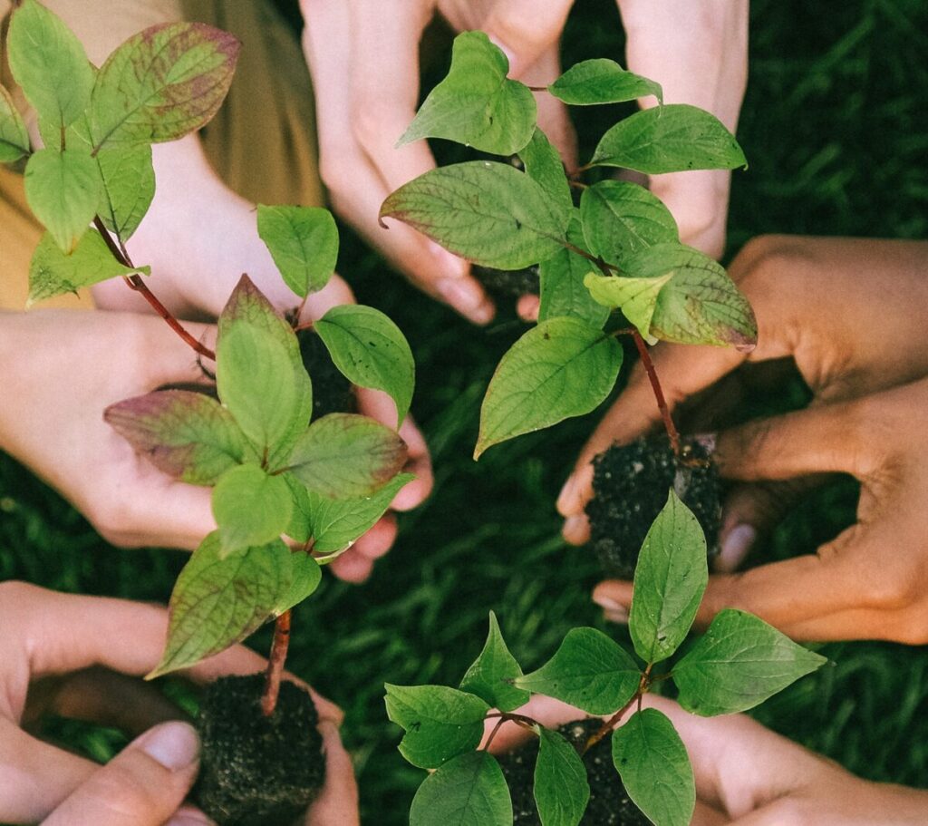 analista-ambiental-na-preservacao-do-meio-ambiente