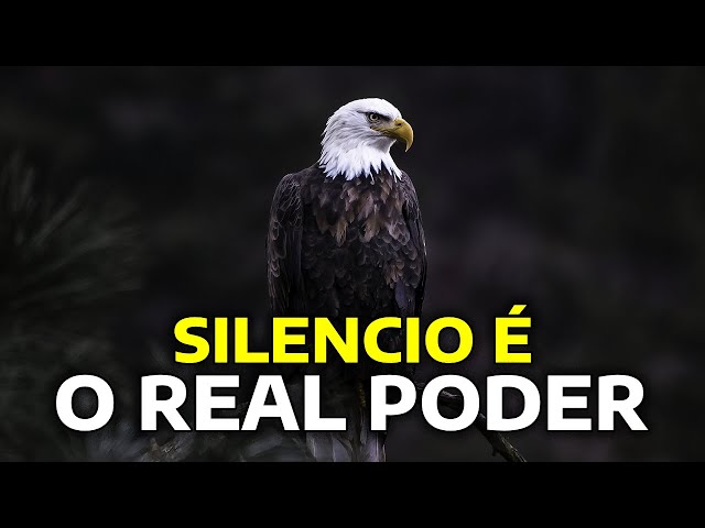 o-silencio-e-o-verdadeiro-poder-confunda-os-com-o-seu-silencio